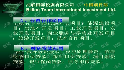 兆聯(lián)公司項目策劃與公關(guān)服務商業(yè)計劃書